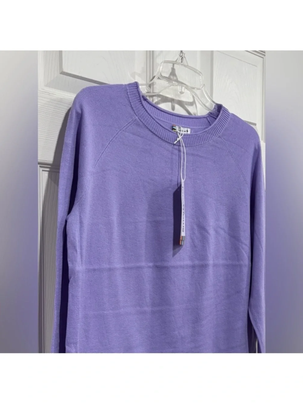 SmartWool Women's Large Edgewood Color-Block Crew Sweater Purple NWT Wool Blend